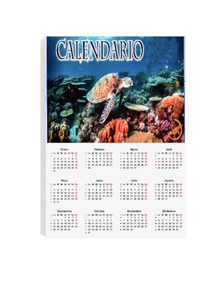 Calendario Anual en Cartón Pluma